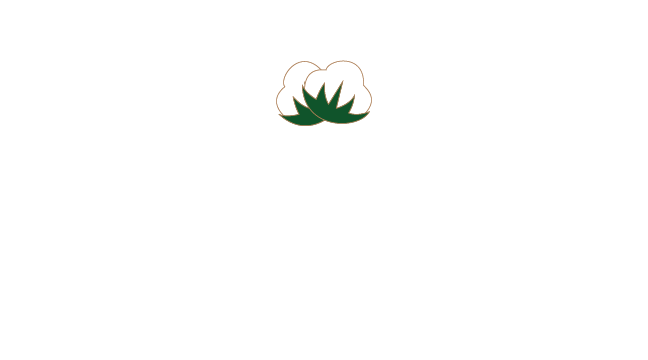 kapas